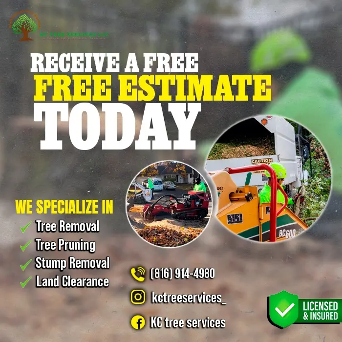 Reliable Tree Service Company