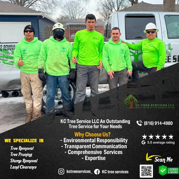 Professional Tree Service Services