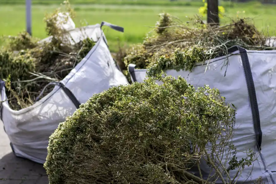 Bush Removal