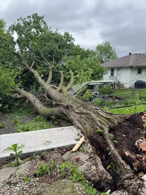Storm Damage Cleanup